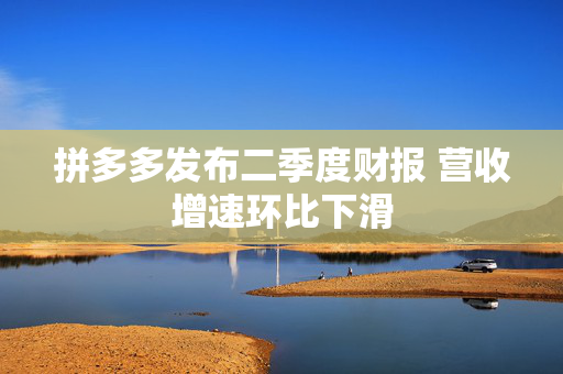 拼多多发布二季度财报 营收增速环比下滑 第1张