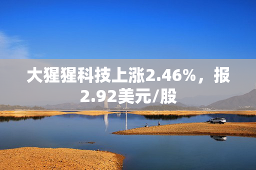 大猩猩科技上涨2.46%，报2.92美元/股 第1张