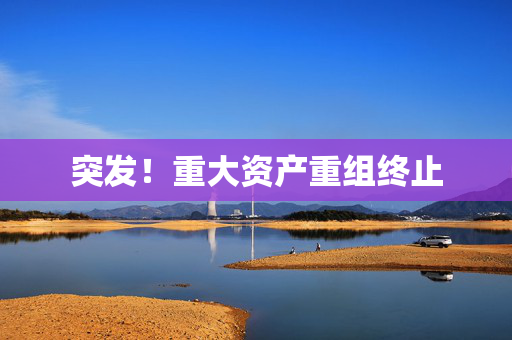 突发！重大资产重组终止 第1张