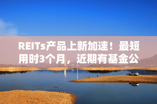 REITs产品上新加速！最短用时3个月，近期有基金公司3只产品获批 第1张