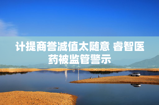 计提商誉减值太随意 睿智医药被监管警示 第1张