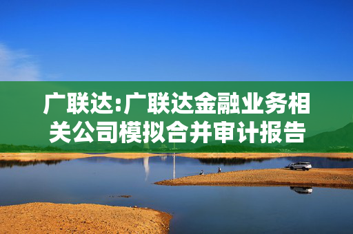 广联达:广联达金融业务相关公司模拟合并审计报告 第1张