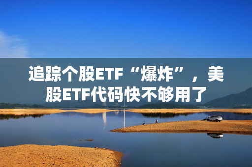 追踪个股ETF“爆炸”，美股ETF代码快不够用了 第1张