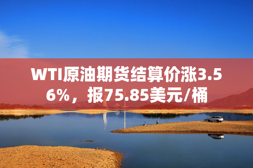 WTI原油期货结算价涨3.56%，报75.85美元/桶 第1张