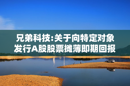 兄弟科技:关于向特定对象发行A股股票摊薄即期回报、填补措施及相关主体承诺（四次修订稿）的公告 第1张
