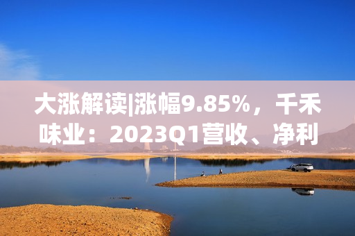 大涨解读|涨幅9.85%，千禾味业：2023Q1营收、净利润同步高增长