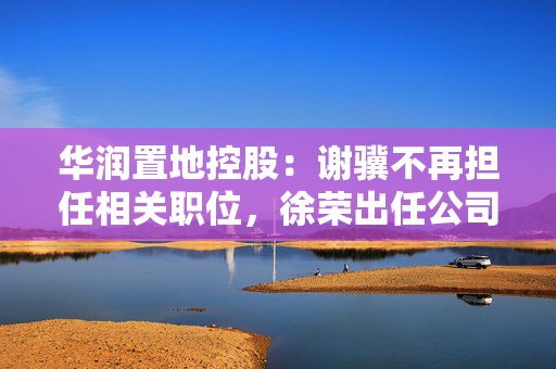 华润置地控股：谢骥不再担任相关职位，徐荣出任公司法定代表人、董事及总经理 第1张