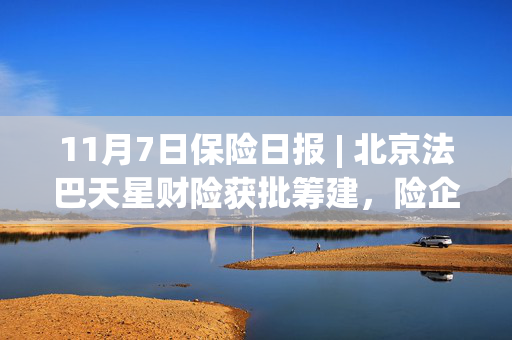 11月7日保险日报 | 北京法巴天星财险获批筹建，险企增资计划密集落地 第1张