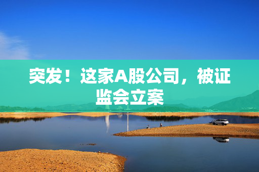 突发！这家A股公司，被证监会立案 第1张