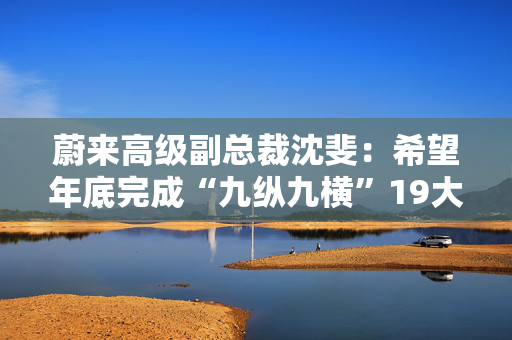 蔚来高级副总裁沈斐：希望年底完成“九纵九横”19大城市群高速换电网络建设 第1张