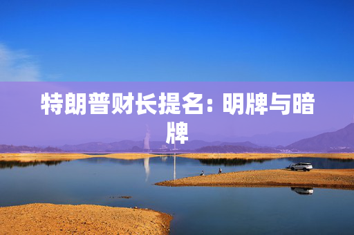 特朗普财长提名: 明牌与暗牌 第1张