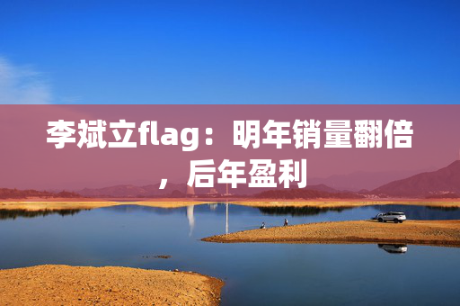 李斌立flag：明年销量翻倍，后年盈利 第1张