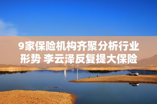 9家保险机构齐聚分析行业形势 李云泽反复提大保险观传递什么信号？ 第1张