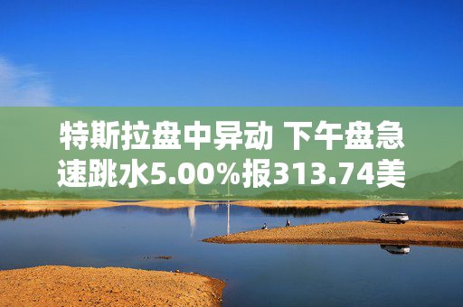 特斯拉盘中异动 下午盘急速跳水5.00%报313.74美元 第1张