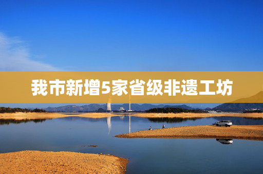 我市新增5家省级非遗工坊 第1张