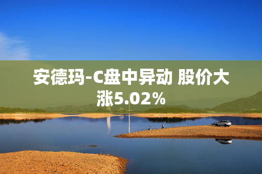 安德玛-C盘中异动 股价大涨5.02% 第1张