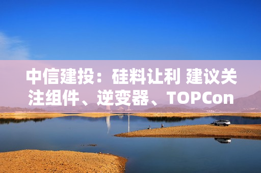 中信建投：硅料让利 建议关注组件、逆变器、TOPCon电池环节