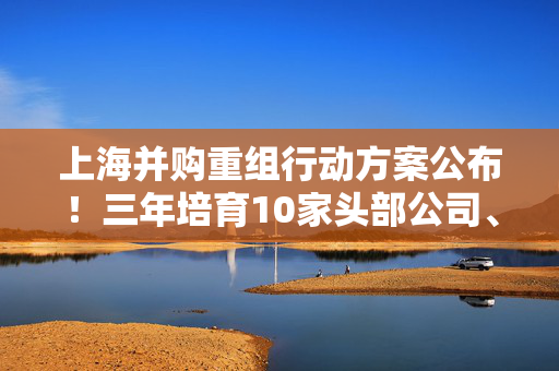 上海并购重组行动方案公布！三年培育10家头部公司、形成3000亿并购规模 第1张