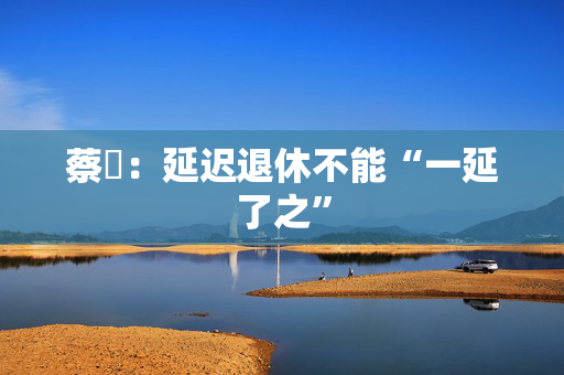 蔡昉：延迟退休不能“一延了之” 第1张