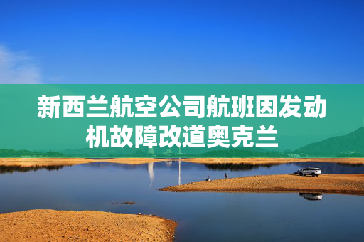 新西兰航空公司航班因发动机故障改道奥克兰 第1张