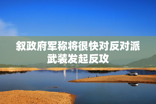 叙政府军称将很快对反对派武装发起反攻 第1张