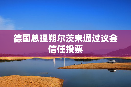德国总理朔尔茨未通过议会信任投票 第1张