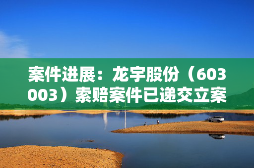 案件进展：龙宇股份（603003）索赔案件已递交立案，受损股民仍可登记索赔 第1张