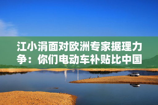 江小涓面对欧洲专家据理力争：你们电动车补贴比中国还高，为什么说我？ 第1张