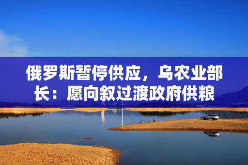 俄罗斯暂停供应，乌农业部长：愿向叙过渡政府供粮 第1张