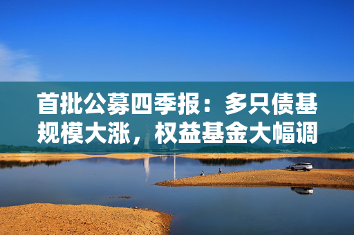首批公募四季报：多只债基规模大涨，权益基金大幅调仓