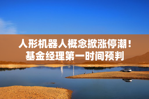 人形机器人概念掀涨停潮！基金经理第一时间预判