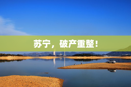 苏宁，破产重整！