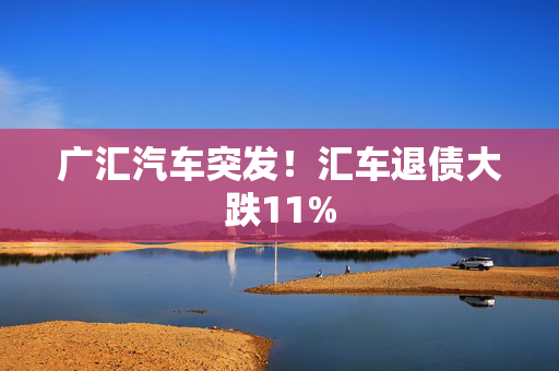 广汇汽车突发！汇车退债大跌11%