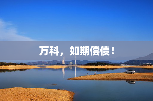 万科，如期偿债！