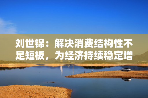 刘世锦：解决消费结构性不足短板，为经济持续稳定增长提供支撑