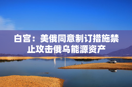白宫：美俄同意制订措施禁止攻击俄乌能源资产
