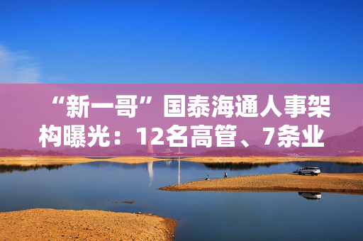 “新一哥”国泰海通人事架构曝光：12名高管、7条业务线、41个部门浮出水面