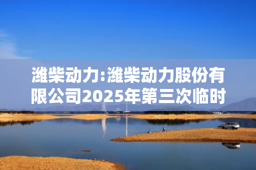 潍柴动力:潍柴动力股份有限公司2025年第三次临时董事会会议决议公告