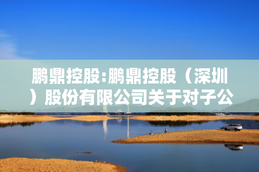 鹏鼎控股:鹏鼎控股（深圳）股份有限公司关于对子公司宏恒胜增资的公告
