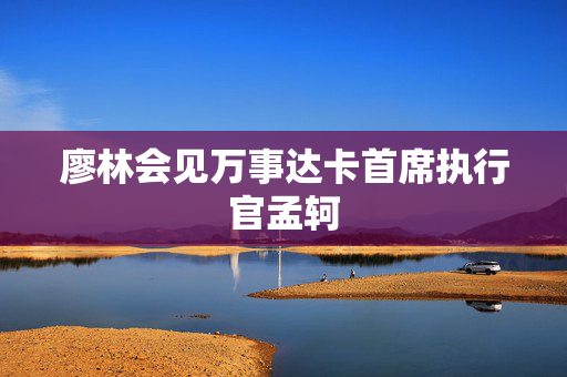 廖林会见万事达卡首席执行官孟轲