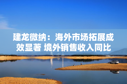 建龙微纳：海外市场拓展成效显著 境外销售收入同比增长13.36%