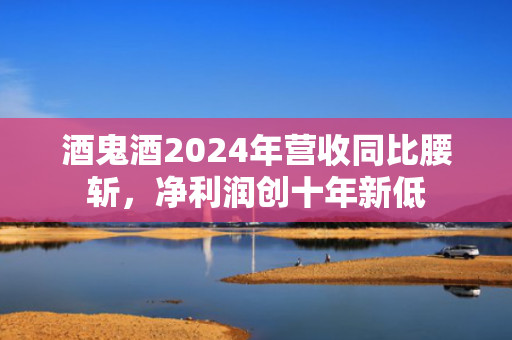 酒鬼酒2024年营收同比腰斩，净利润创十年新低 第1张
