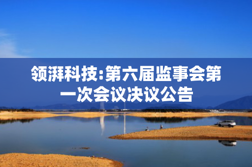 领湃科技:第六届监事会第一次会议决议公告