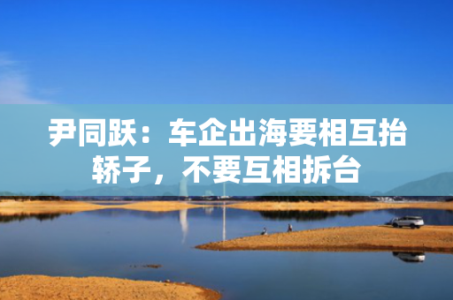 尹同跃：车企出海要相互抬轿子，不要互相拆台