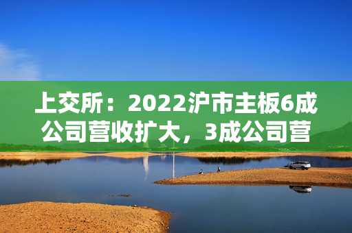 上交所：2022沪市主板6成公司营收扩大，3成公司营收超百亿，超8成公司盈利，近5成公司实现利润增长（全文）
