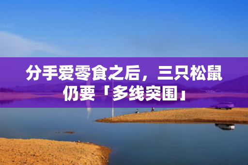 分手爱零食之后，三只松鼠仍要「多线突围」