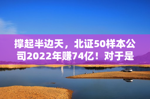 撑起半边天，北证50样本公司2022年赚74亿！对于是否转板、股价不振如何破局，它们这样说……