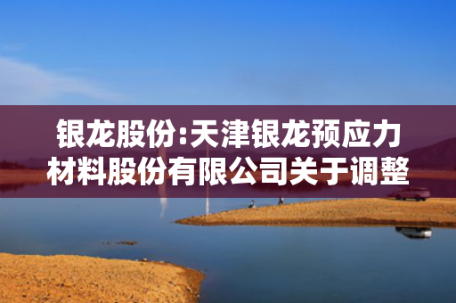 银龙股份:天津银龙预应力材料股份有限公司关于调整2024年度利润分配现金分红总额的公告