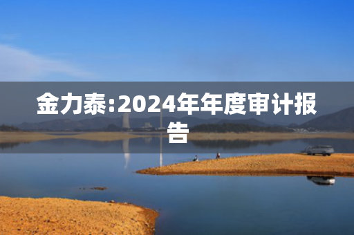 金力泰:2024年年度审计报告