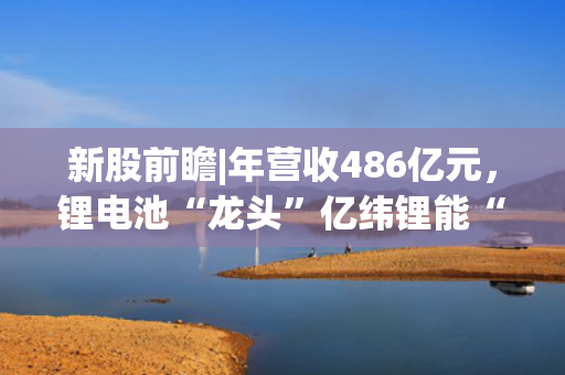 新股前瞻|年营收486亿元，锂电池“龙头”亿纬锂能“A+H”上市意欲何为?